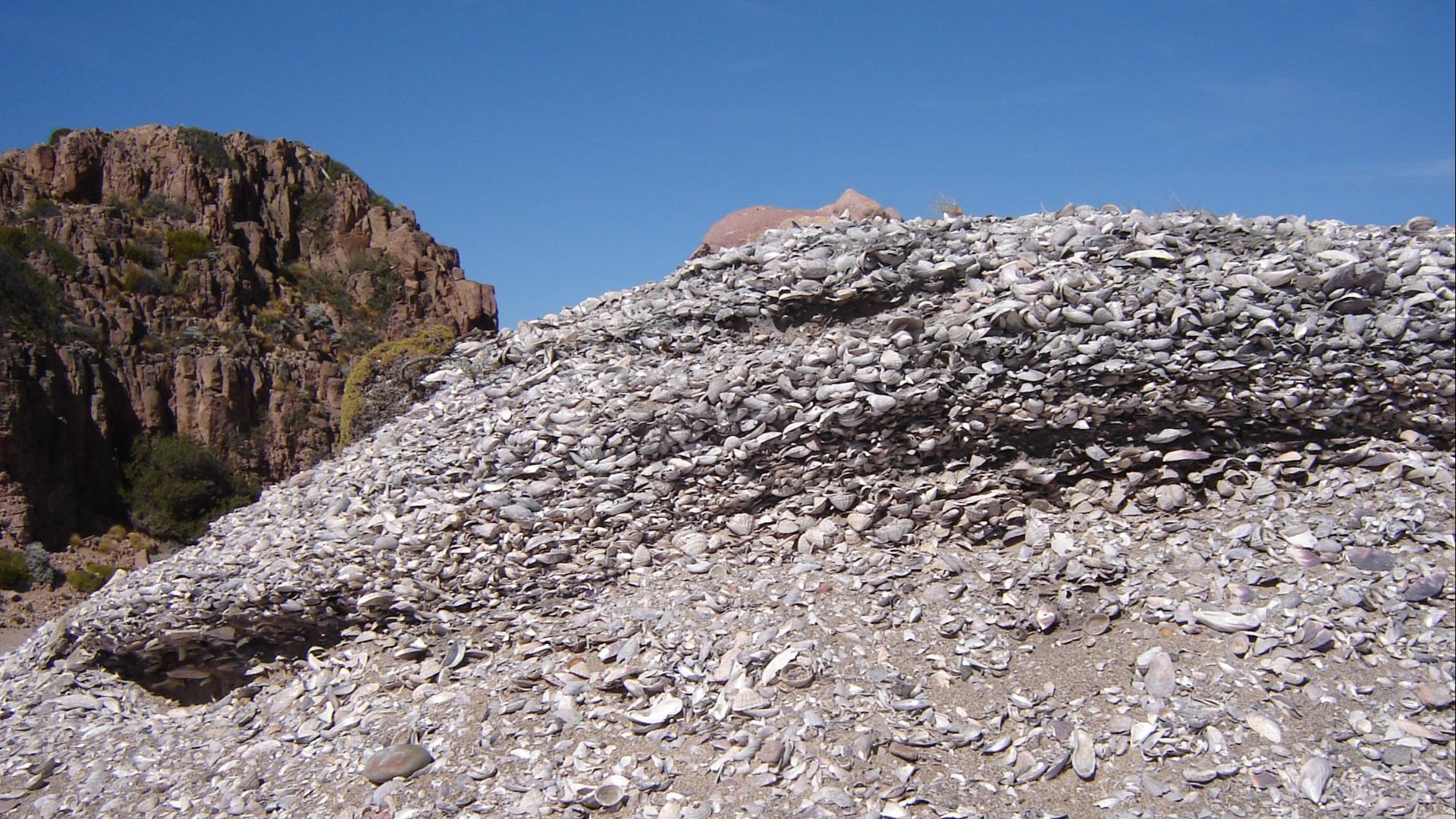 File:Conchero al sur de Puerto Deseado.jpg