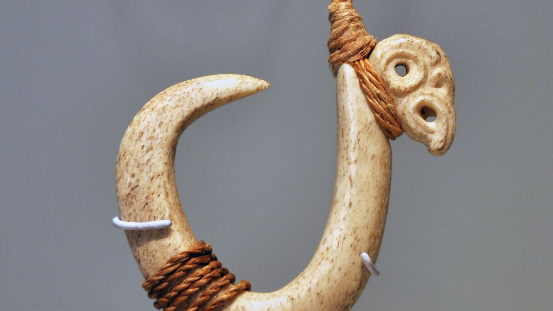 File:MAP Expo Maori Hameçon 13012012 4.jpg