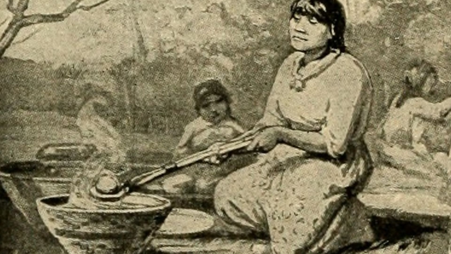 File:Image from page 485 of