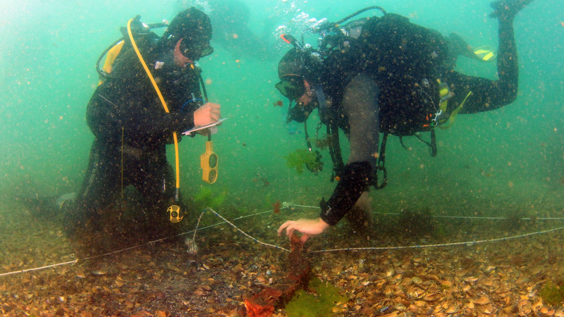 File:Експедиция Маслен нос 2015 археологически разкопки.JPG