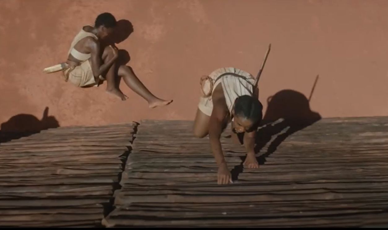 The Woman King (2022)  