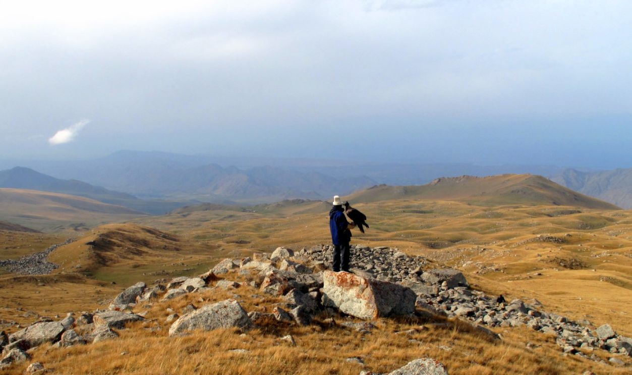 How Ancient Breeding Transformed Horses Forever