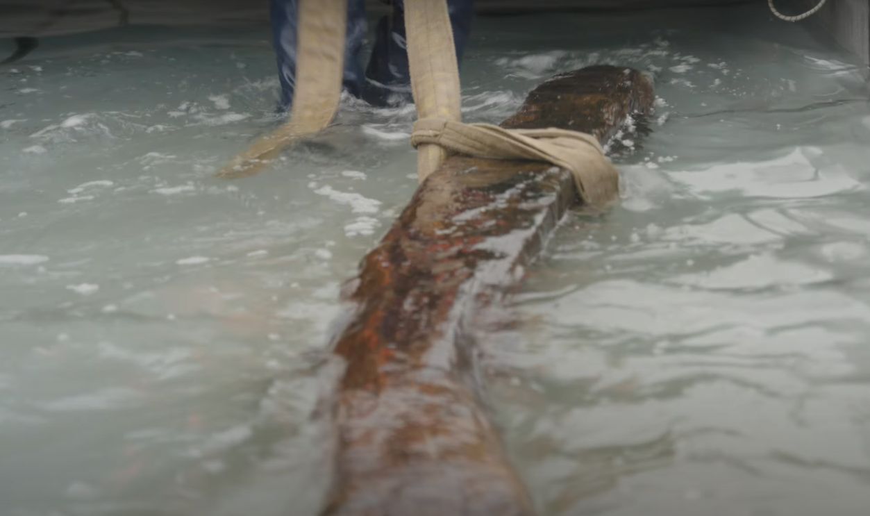 Funding Secured For Long-Term Study (Cont.)