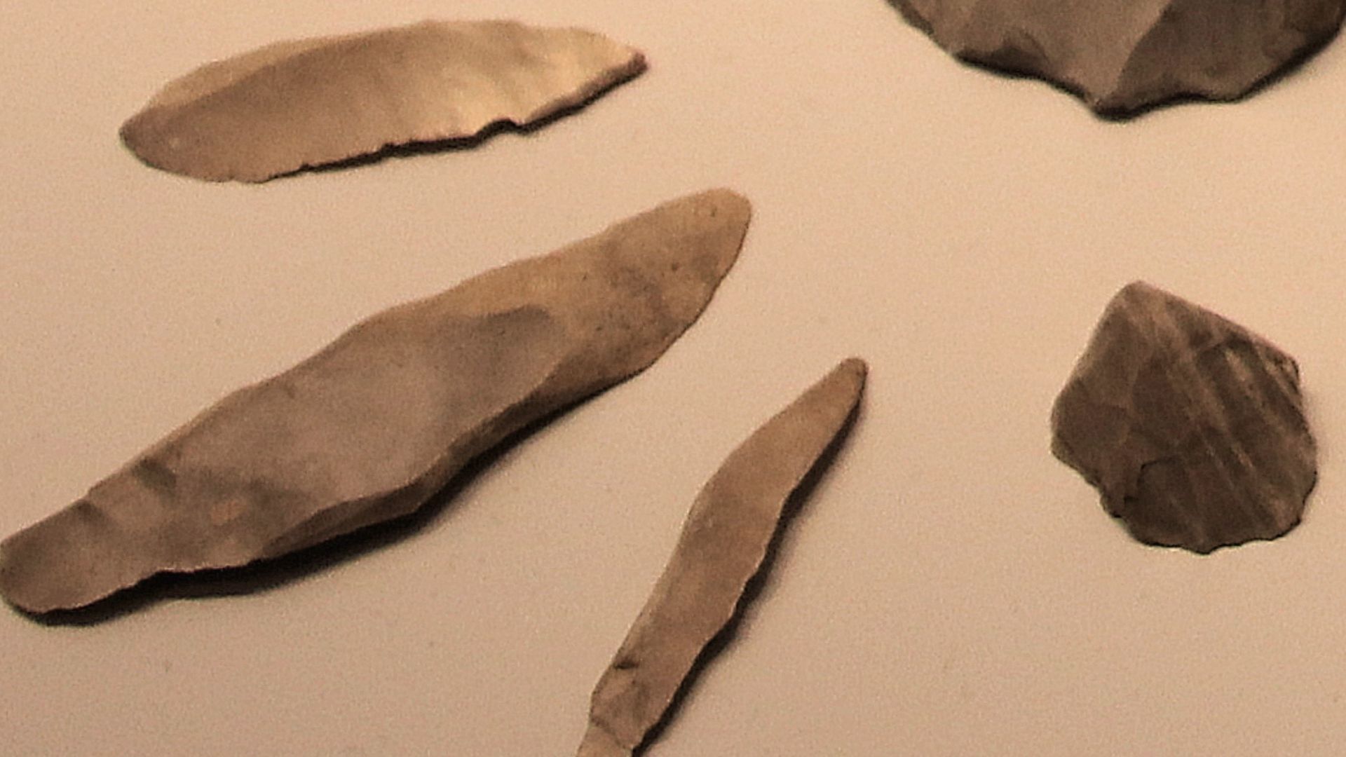 File:Kebaran culture microliths 22000-18000 BP.jpg