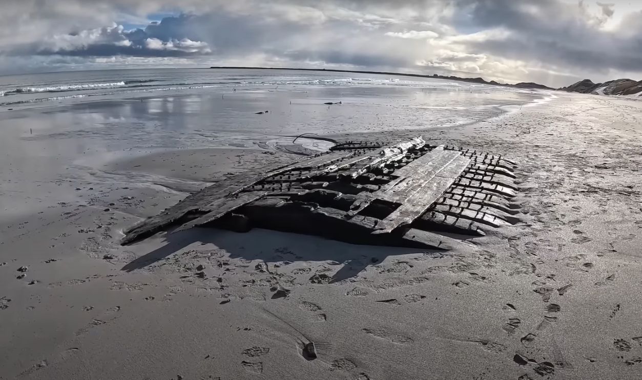 Unusual Timbers Revealed By The Tide