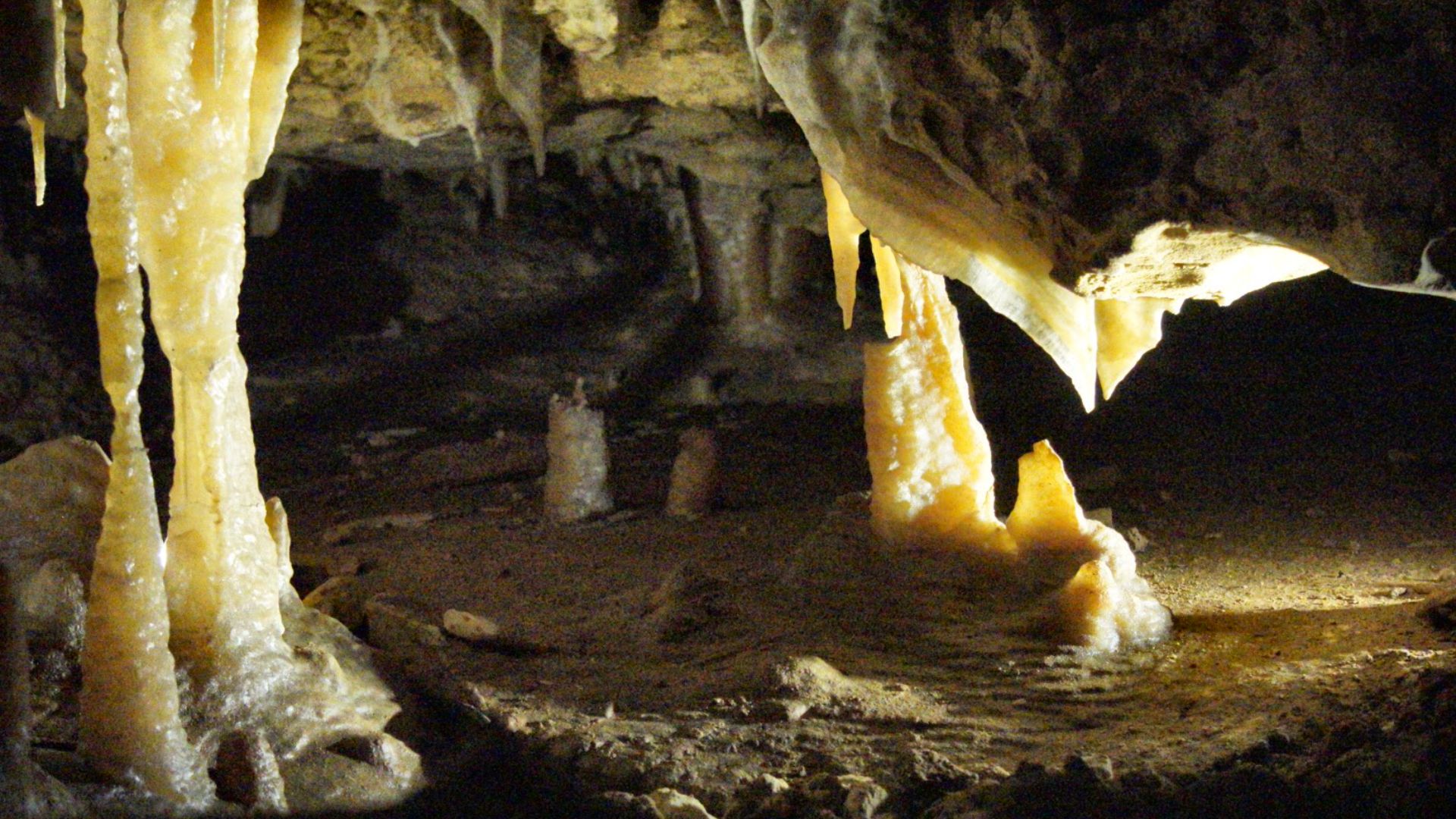 File:Victoria Fossil Cave at Naracoorte Caves.jpg