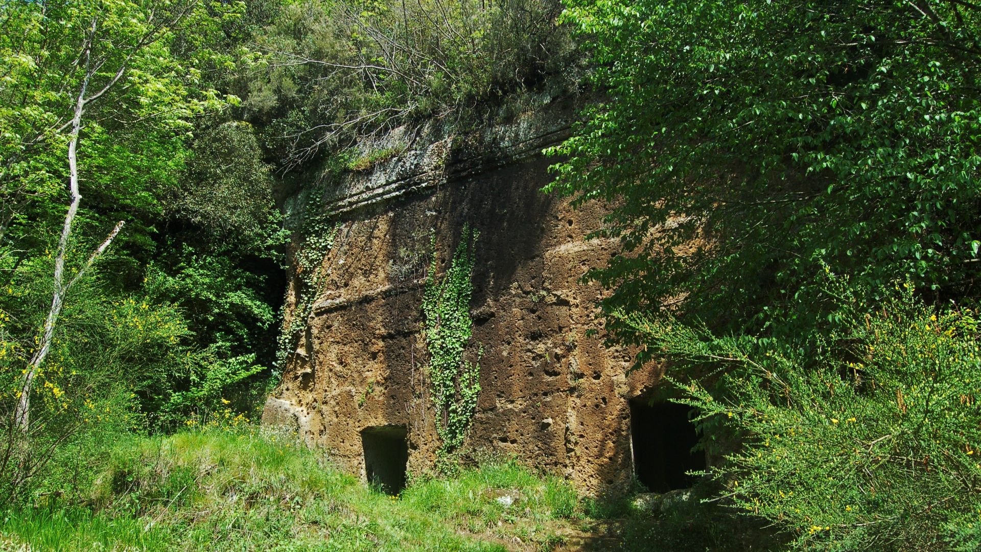 File:Tombe etrusche presso il Parco Regionale Marturanum a Barbarano Romano.JPG