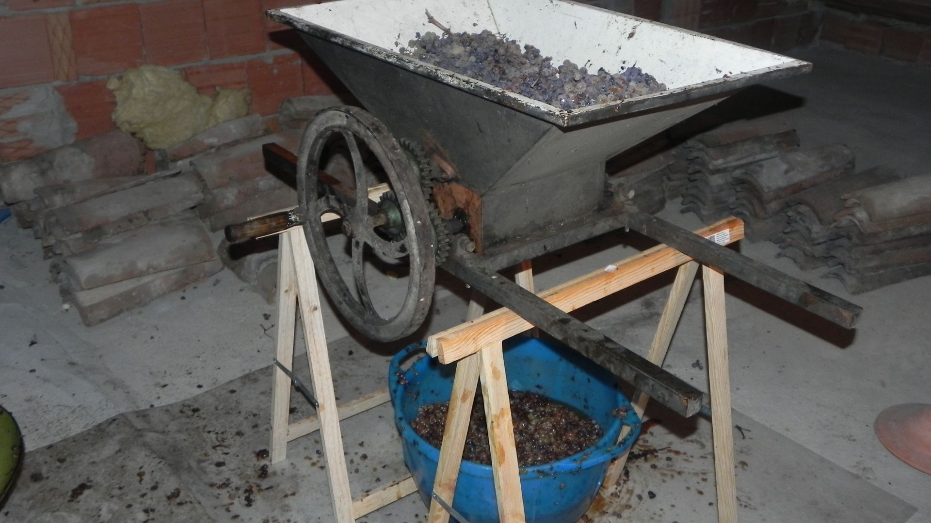 File:Tuscany Vin Santo (holy wine) home made, crushing the dried Trebbiano.jpg