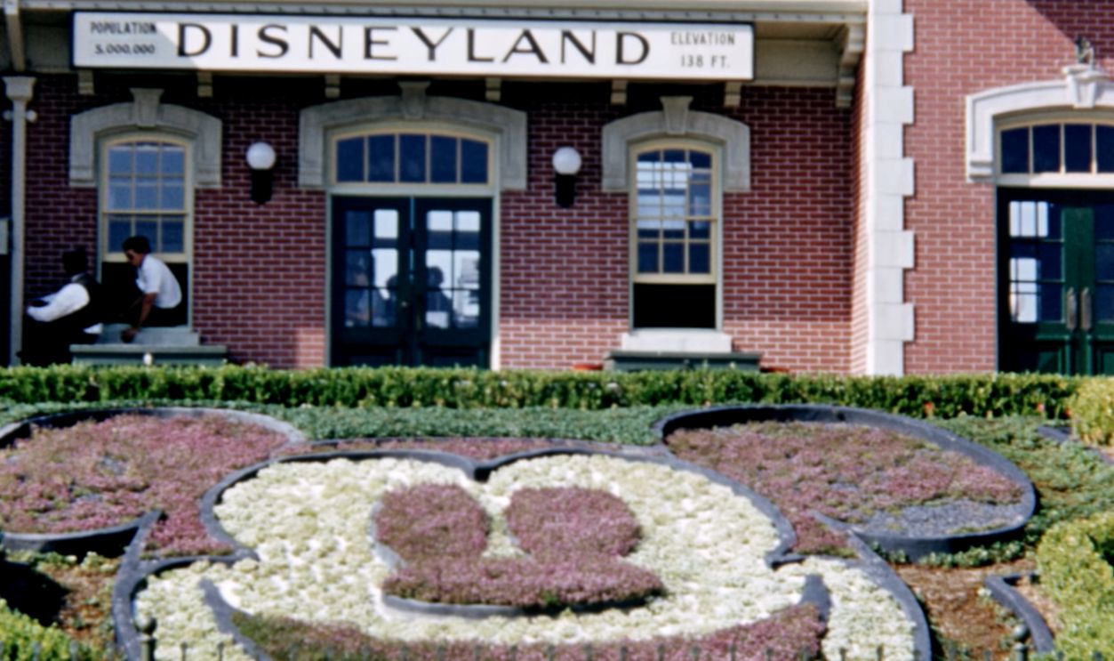 Why Disneyland Needed To Expand Fast