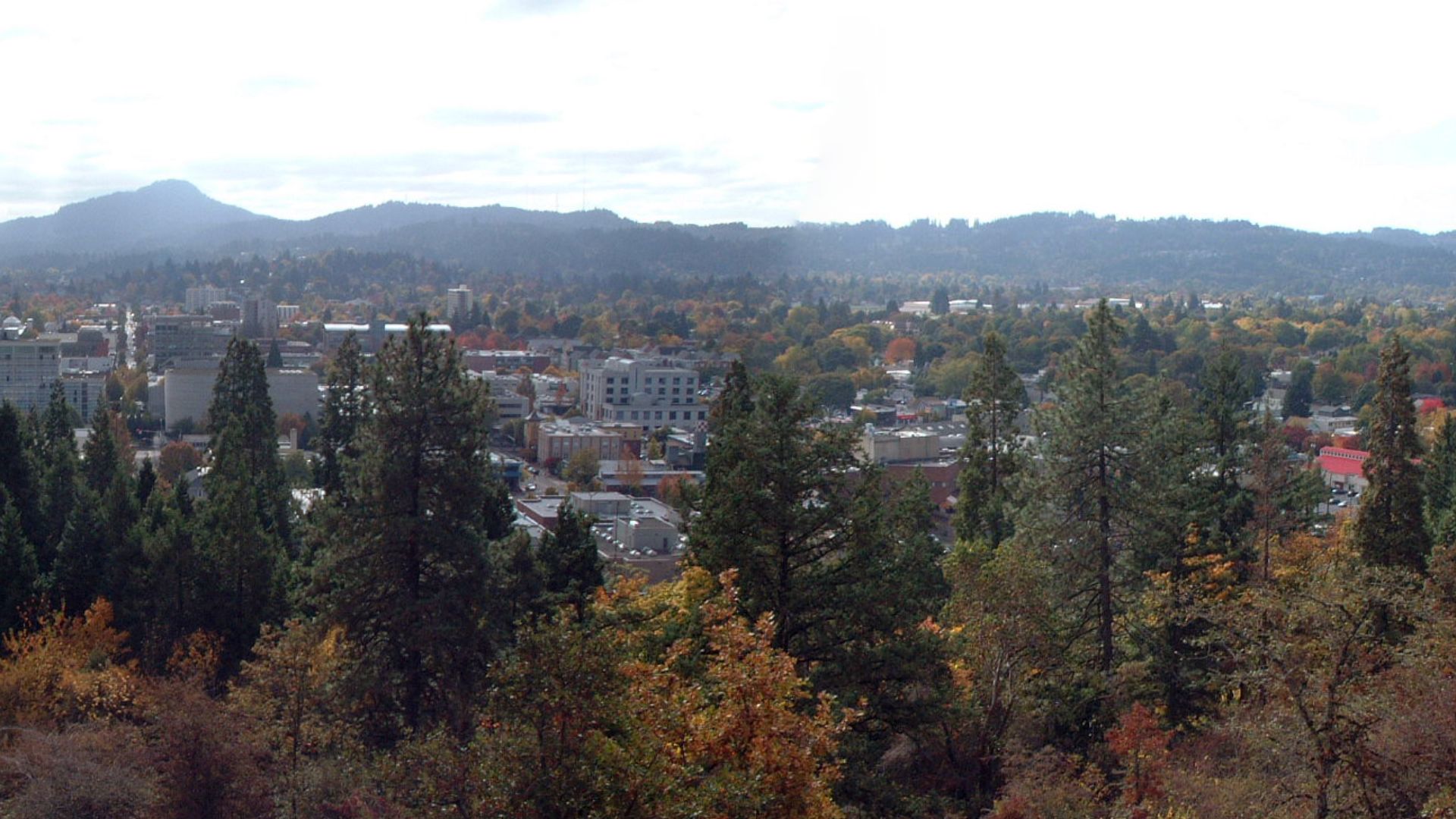 File:Eugene panorama.jpg