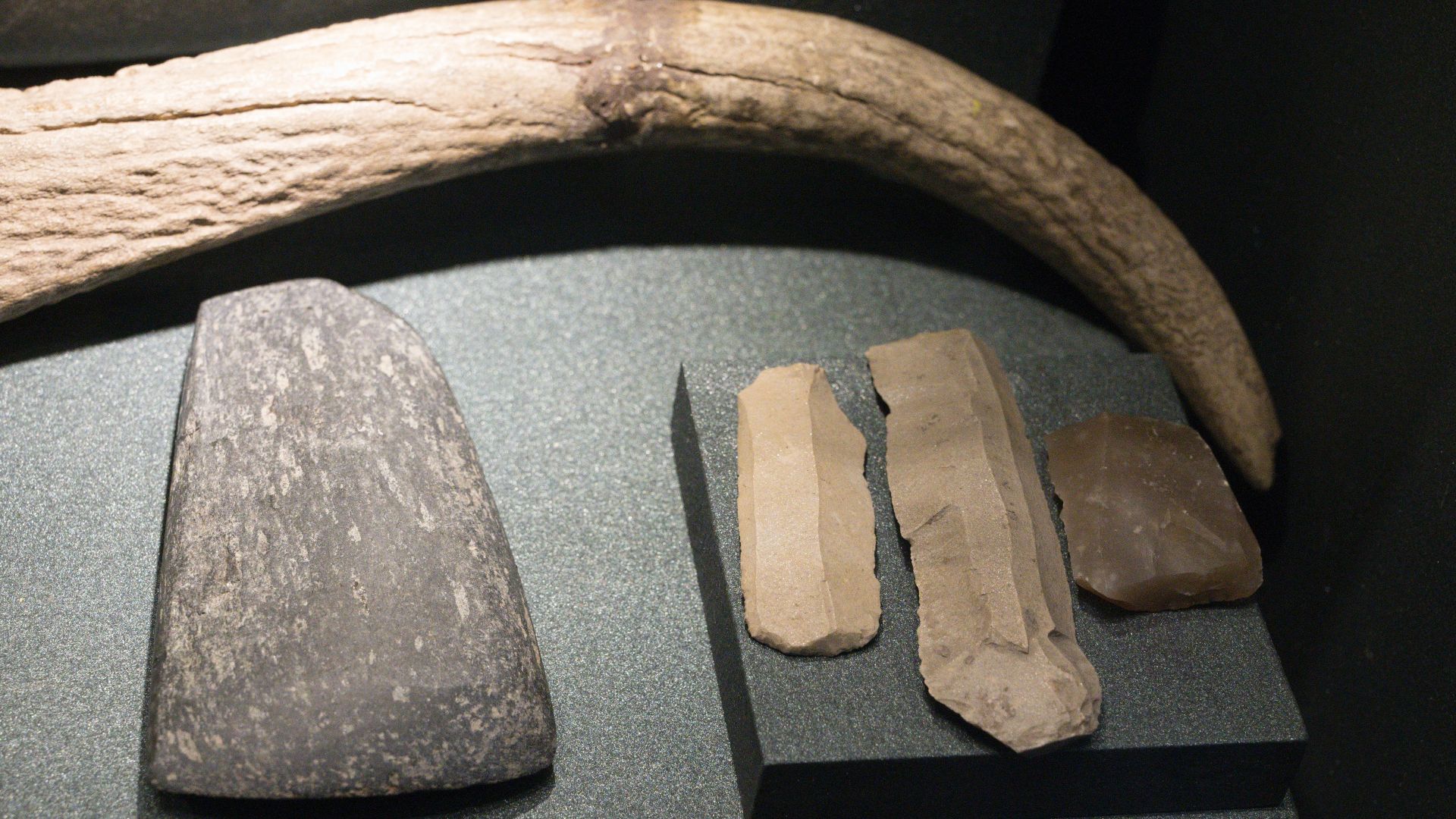 File:Stone tools, Neolithic or Copper Age, City of Prague Museum, 200215.jpg