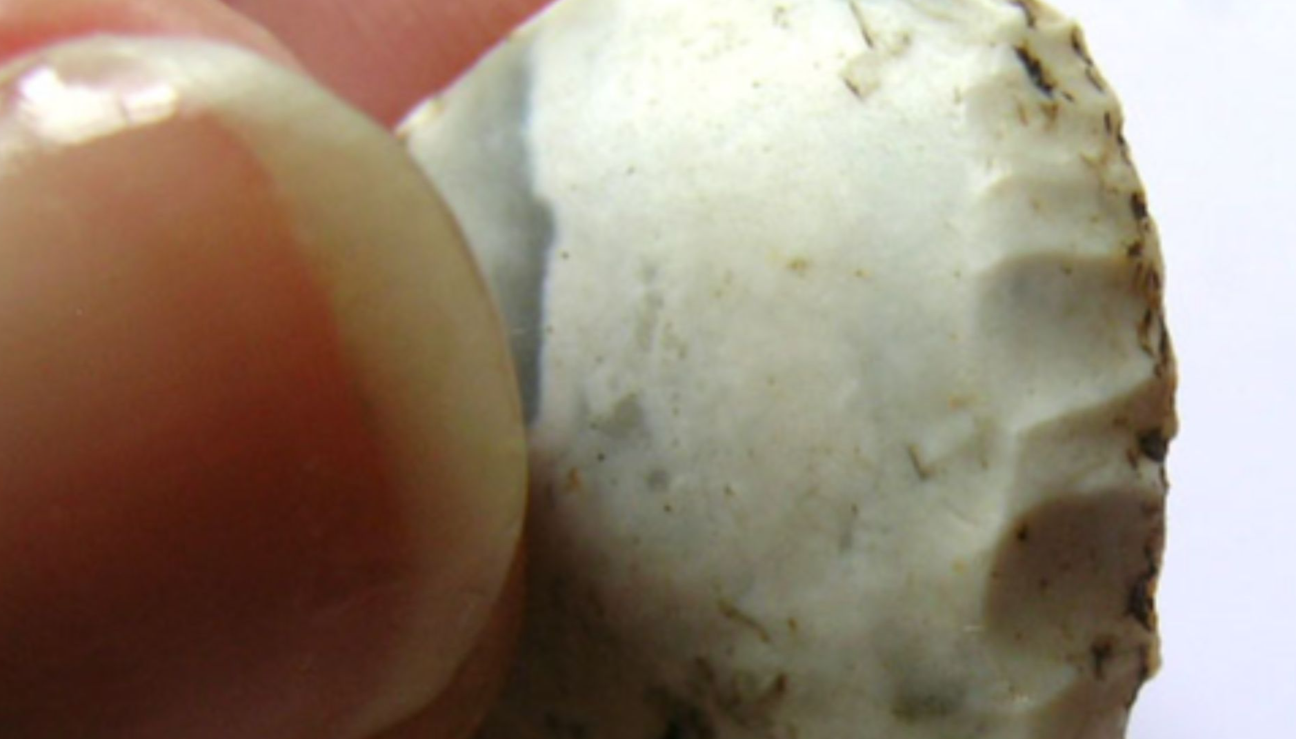 File:Thumbnail scraper (FindID 99383-66962).jpg