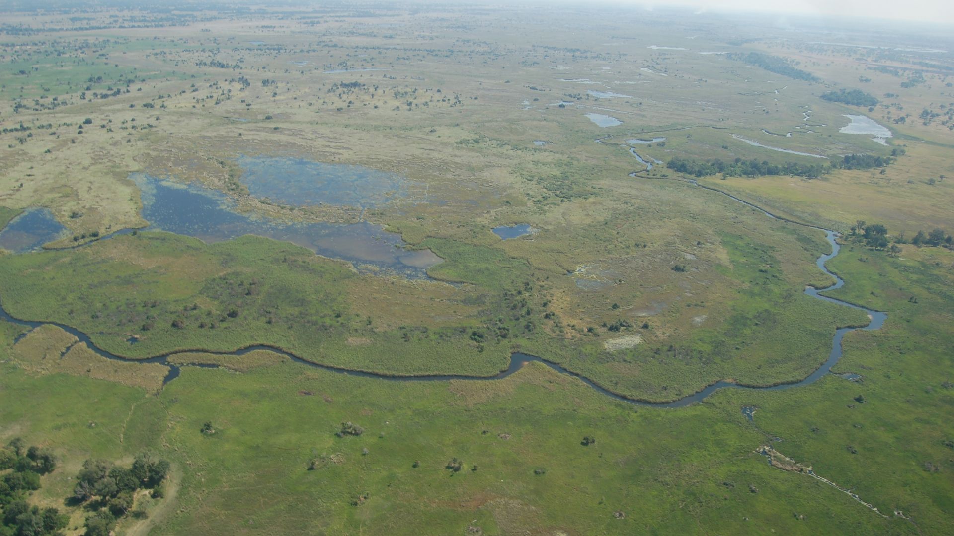 File:Okavango Delta, Botswana.jpg