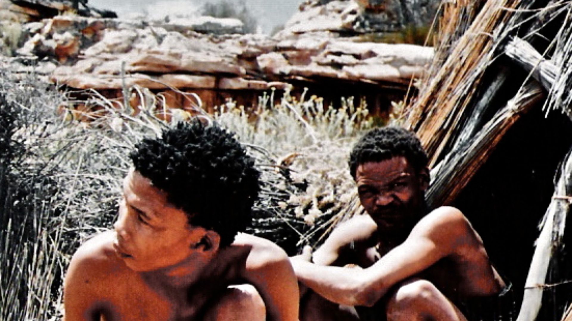 File:Bushman camp.jpg