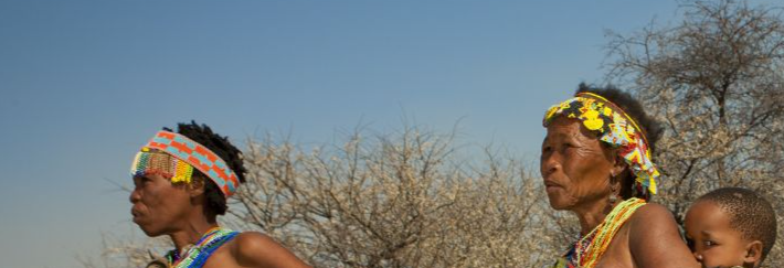  Women From The San Tribe in Namibia on August 22, 2010 - San (also called Bushmen) are an ethnic group of South West Africa. They live in the Kalahari Desert across the borders of Botswana, Namibia, Angola and South Africa. Most of the 100,000 San people live in Botswana (around 55,000) but about 25,000 live in Namibia. The San have a foraging lifestyle based on the hunting of wild animals (usually with bows and poison arrows and spears) and the gathering of veld food. The fact they are hunter gatherers accounts for their nomadic way of life. Their lifestyle is particularly adapted to the hard conditions of the Kalahari Desert. They know where waterholes are located and carry water in ostrich eggshells. 