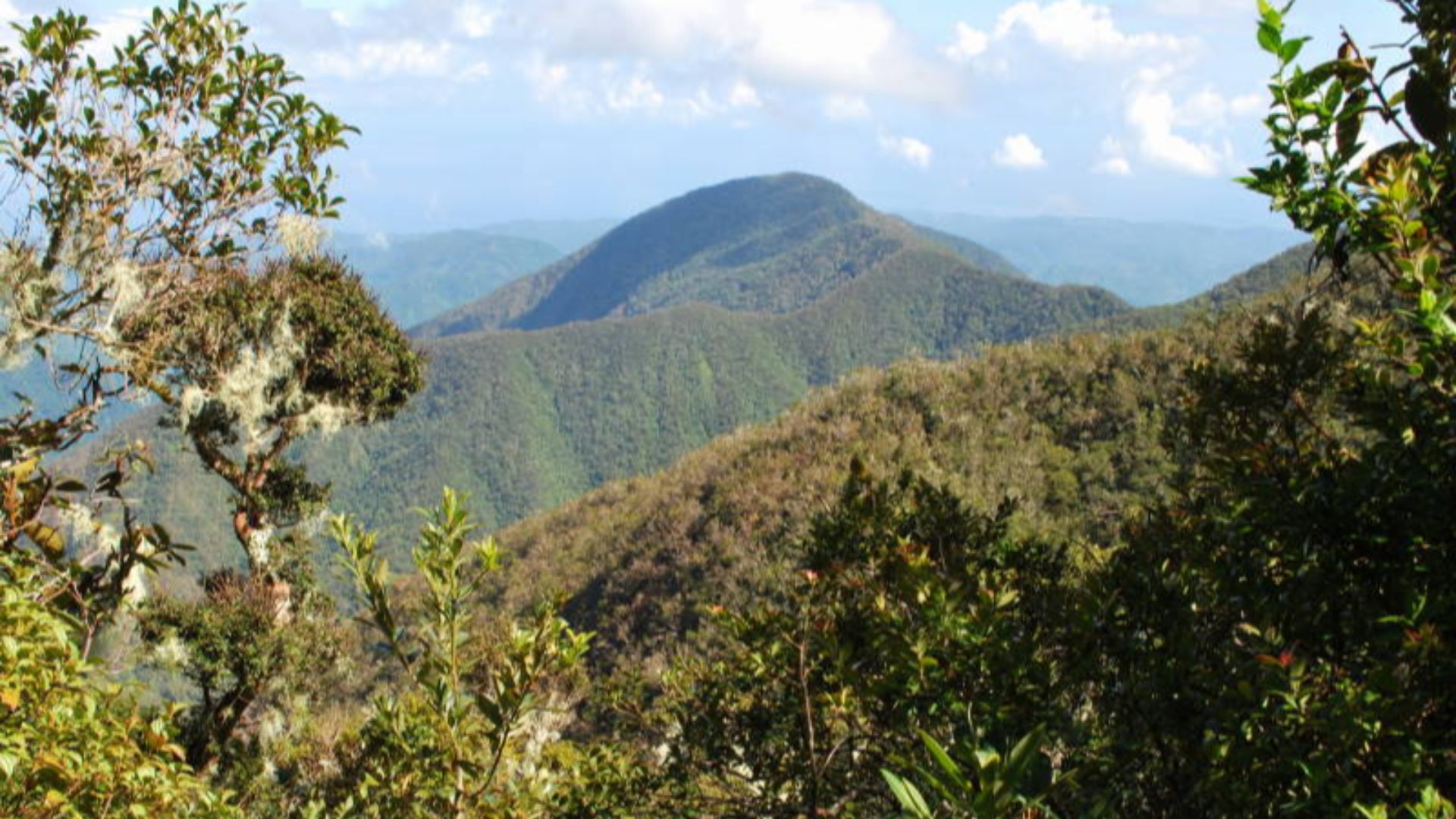 File:JM Blue Mountain Peak 1010 (79) (17256498831).jpg