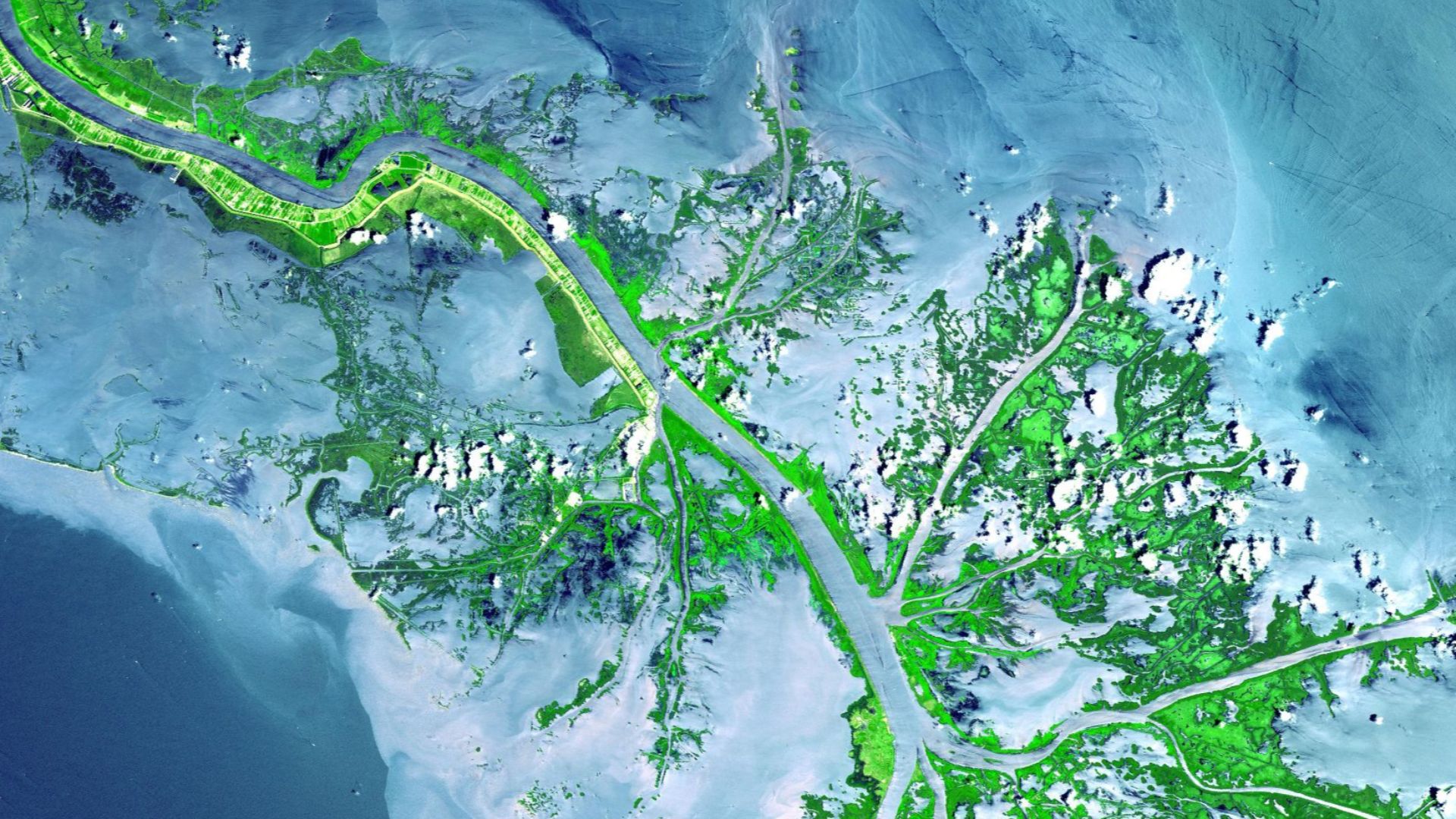 File:Mississippi delta from space.jpg