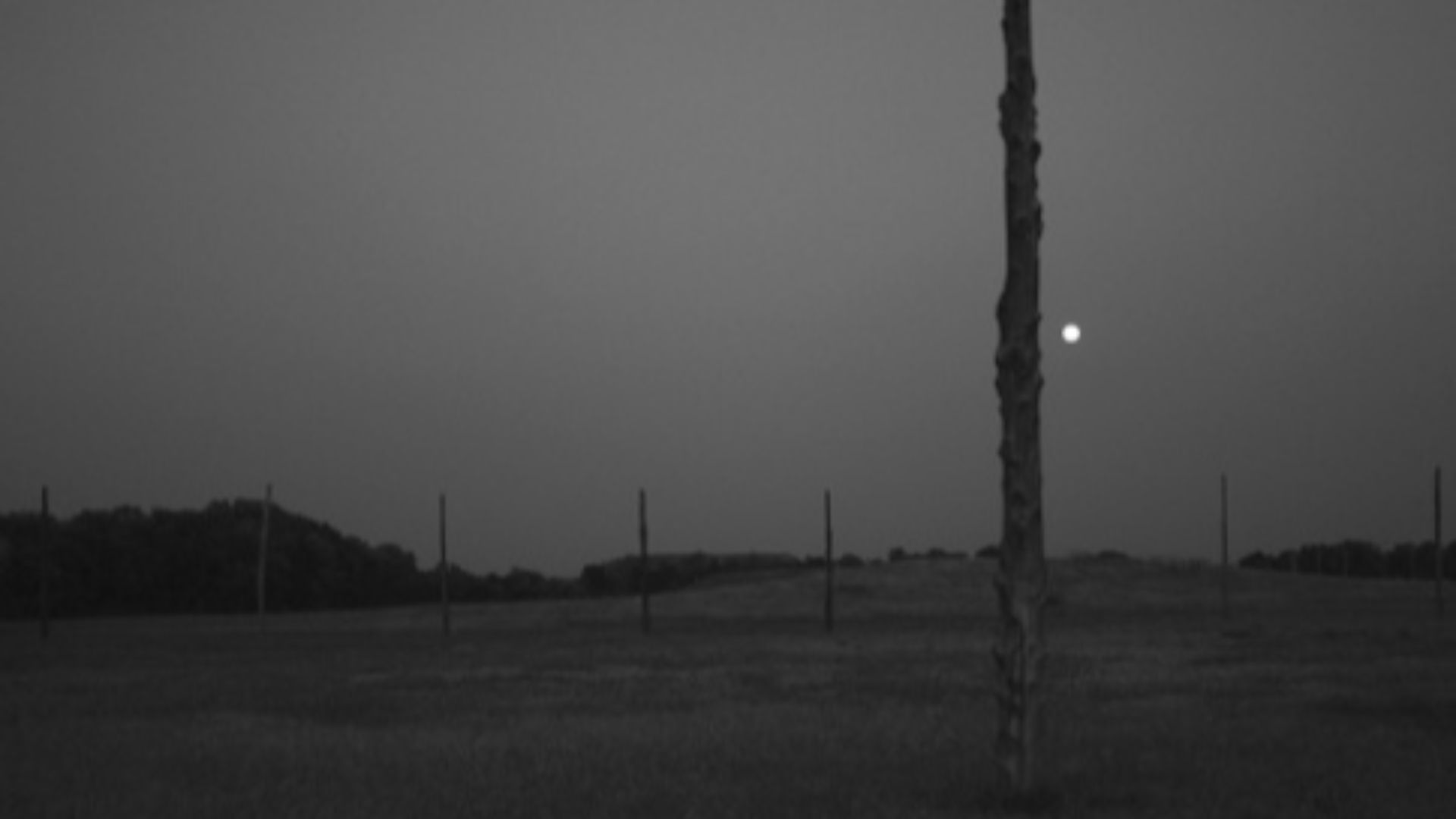 File:A354, Woodhenge and full moon at twilight, Cahokia Mounds State Historic Site, East Saint Louis, Missouri, USA, 2011.JPG