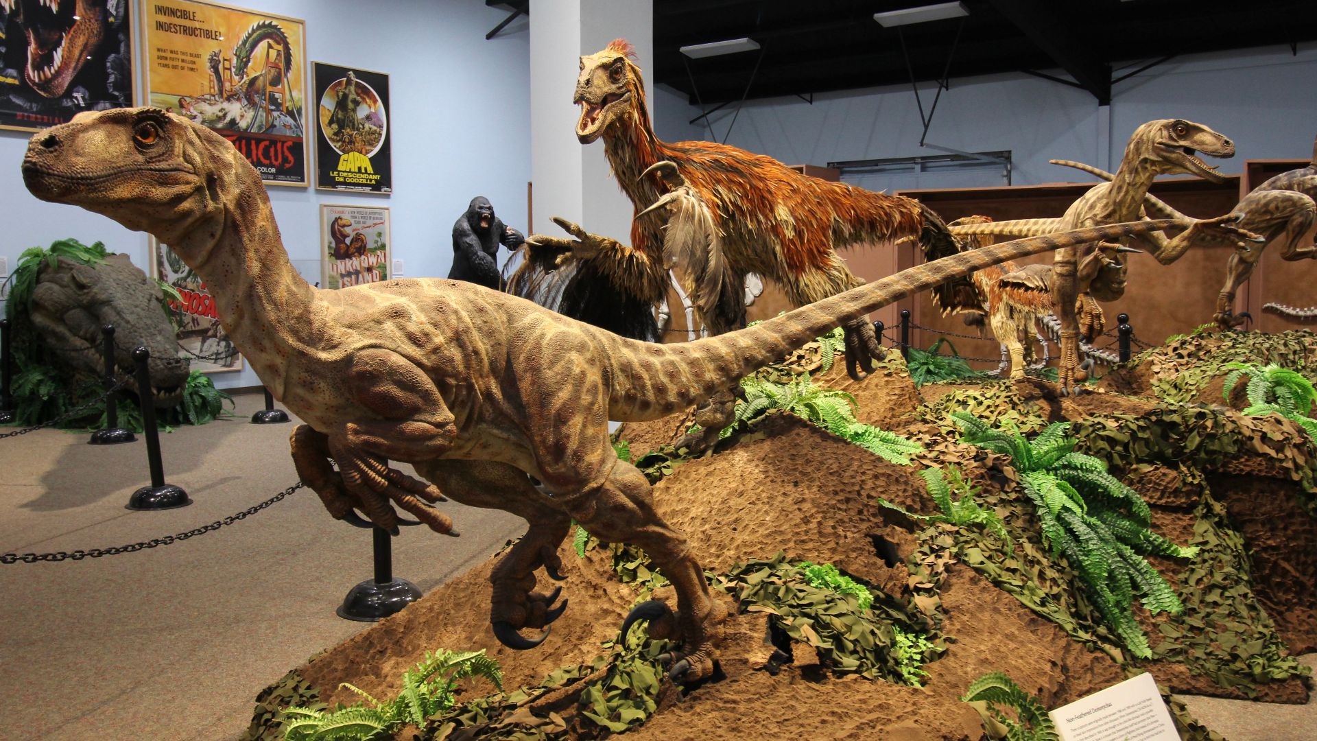 File:The Dinosaur Museum, Blanding, Utah 04.jpg