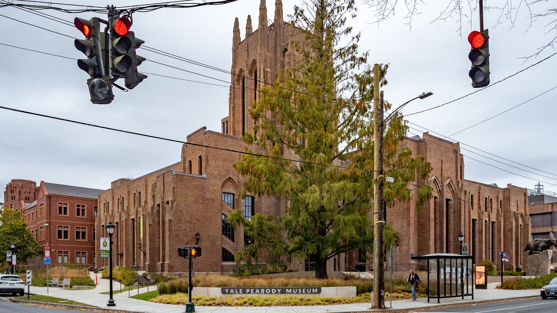 File:Yale Peabody Museum (54106346944).jpg
