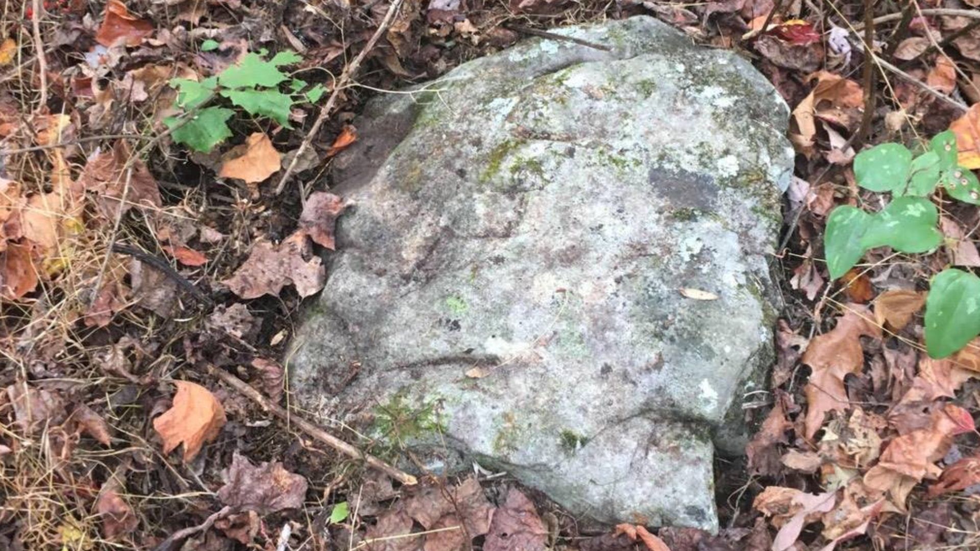 File:Rock Carvings from Bear Spirit Mountain West Virginia Dating Pleistocene epoch.jpg