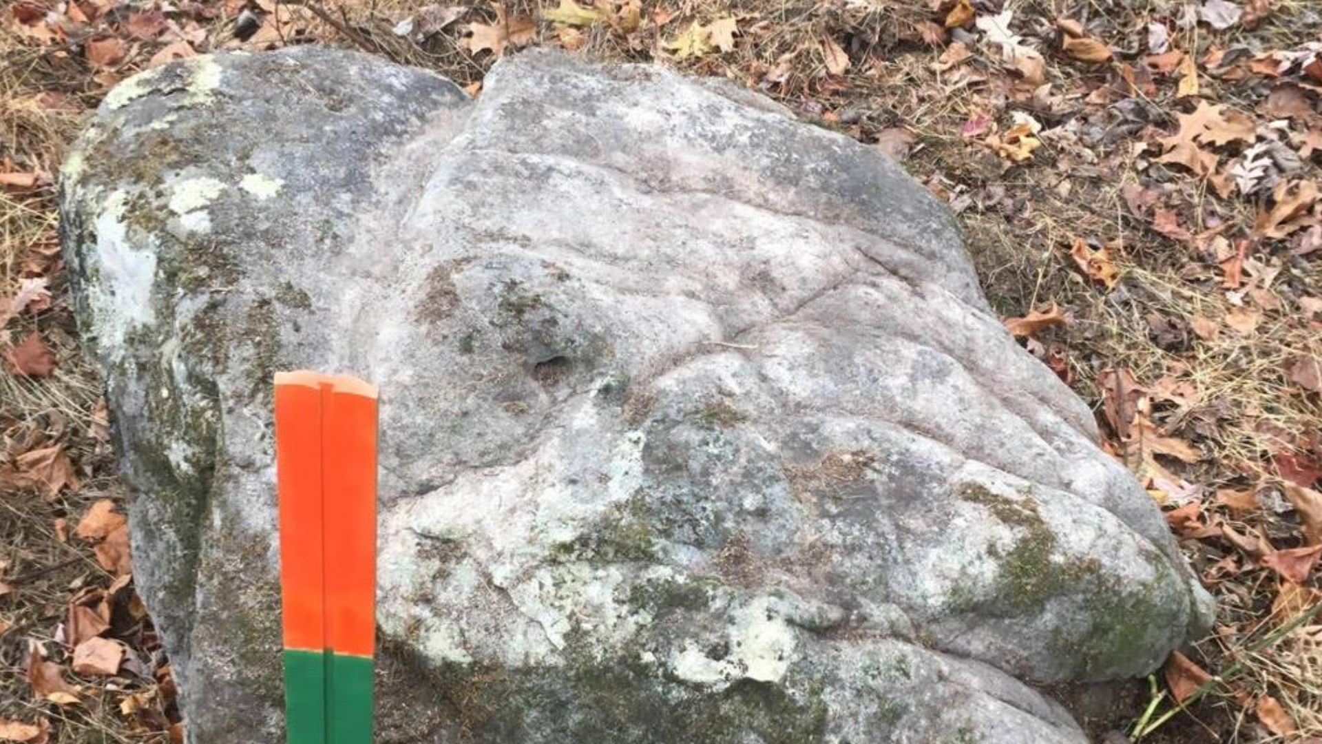 File:Rock Carvings from Bear Spirit Mountain West Virginia Dating Pleistocene epoch.jpg