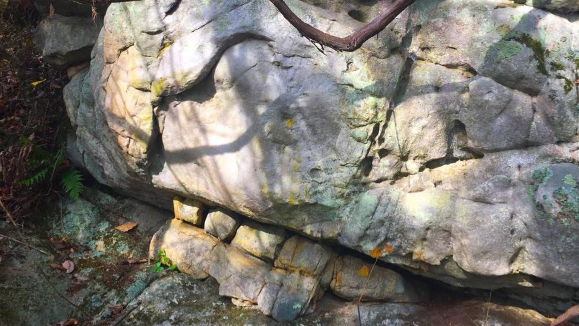 File:Rock Carvings from Bear Spirit Mountain West Virginia Dating Pleistocene epoch.jpg