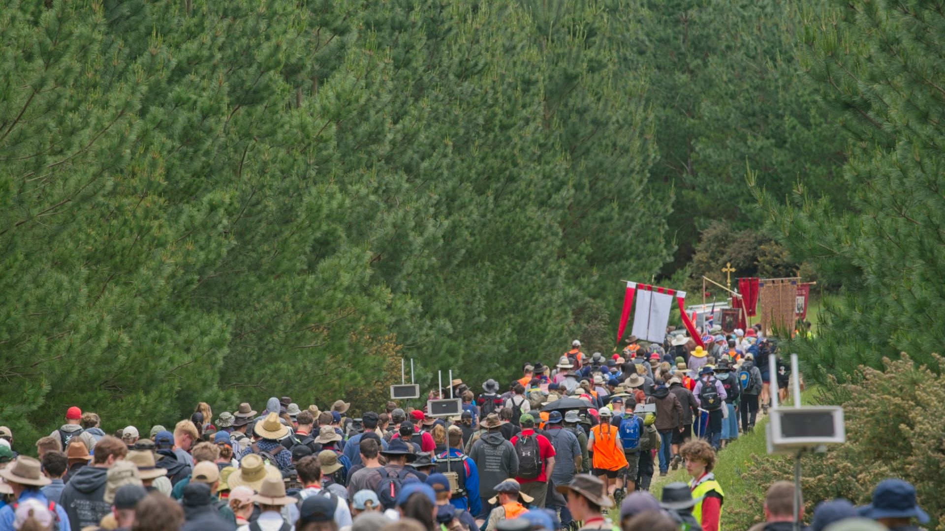 File:Pilgrims in state forest 2024.jpg