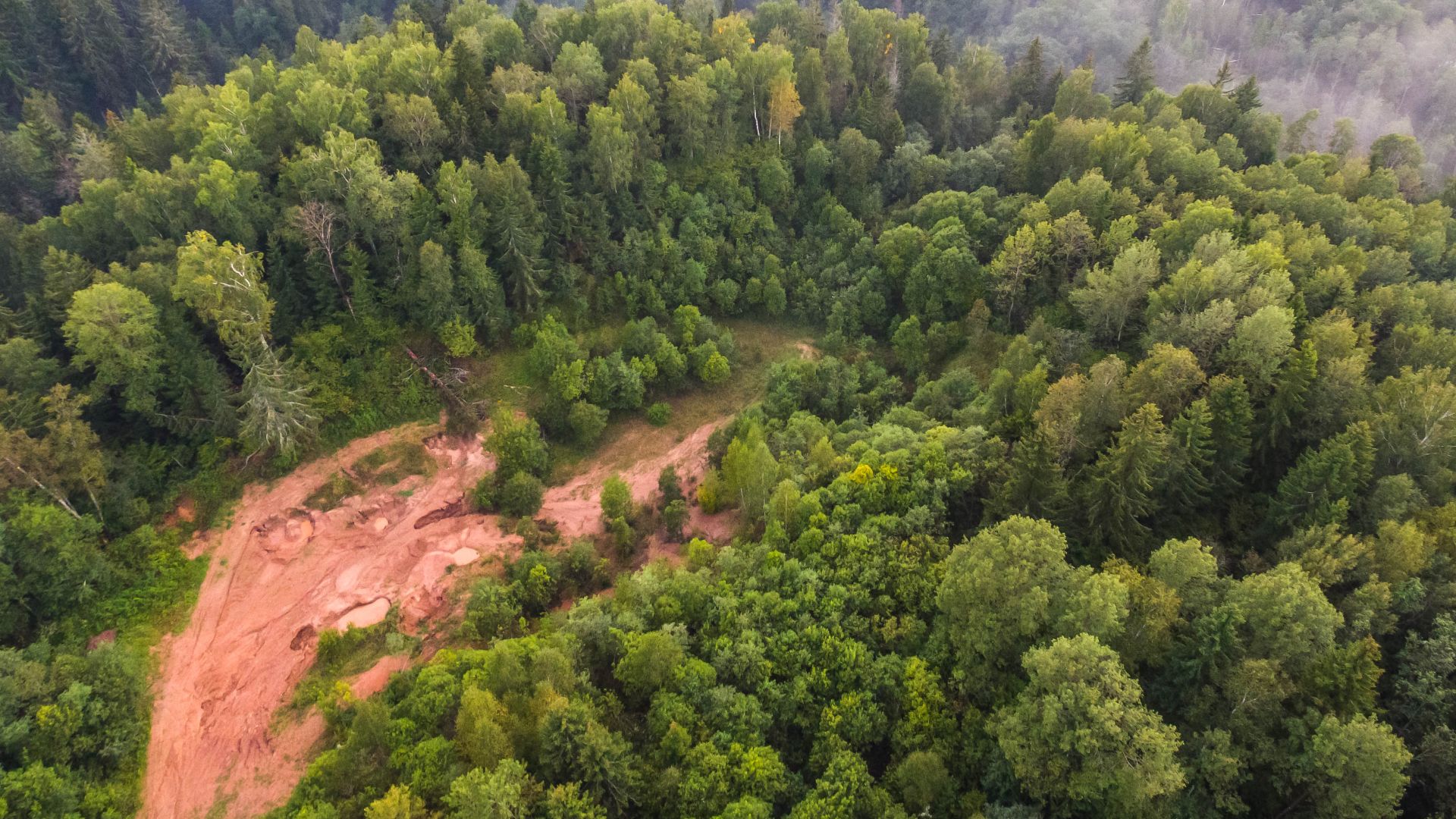 File:Forest clearing from above 1 (Unsplash).jpg