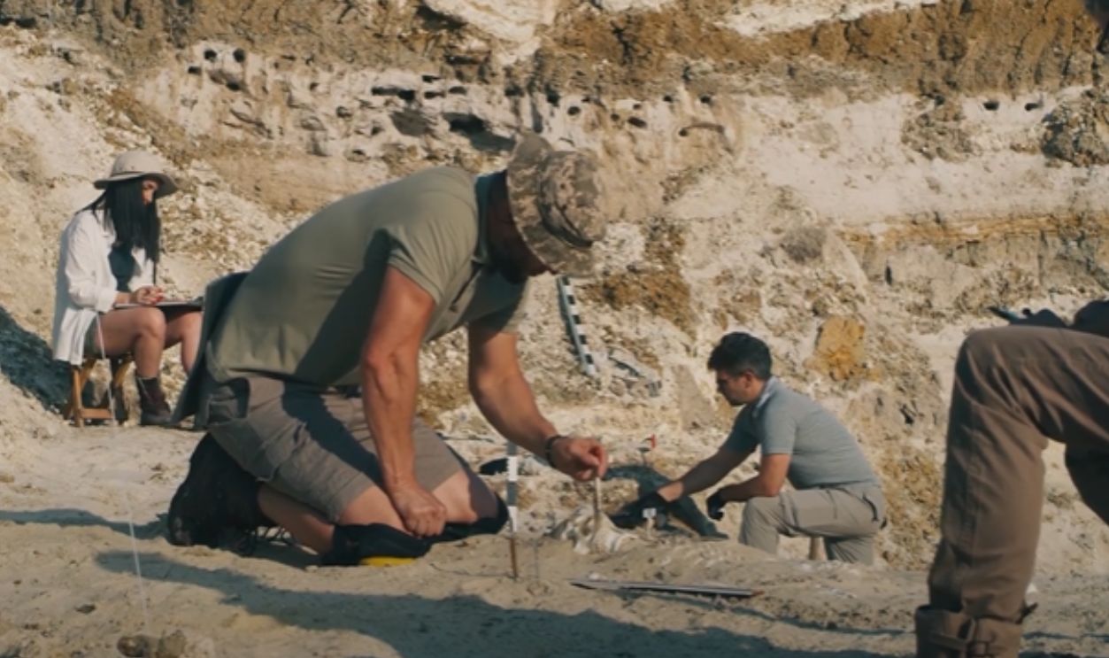 Egypt And Japan Join Forces