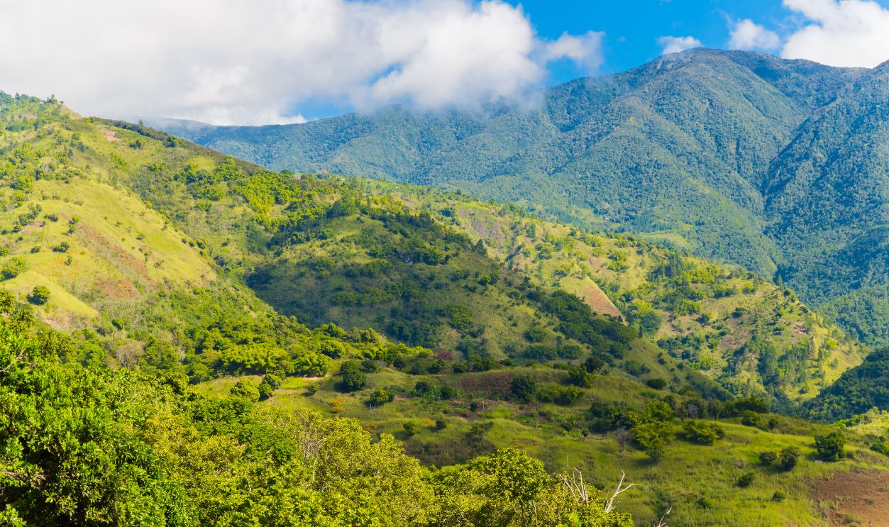 Blue Mountains in Jamaica