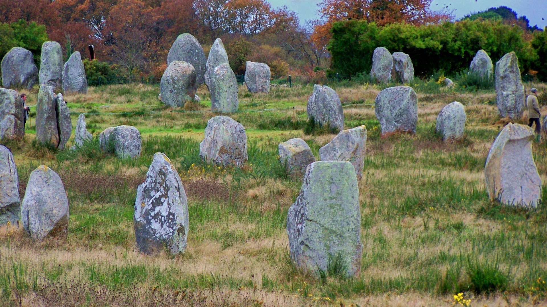 File:Menec alignment.JPG