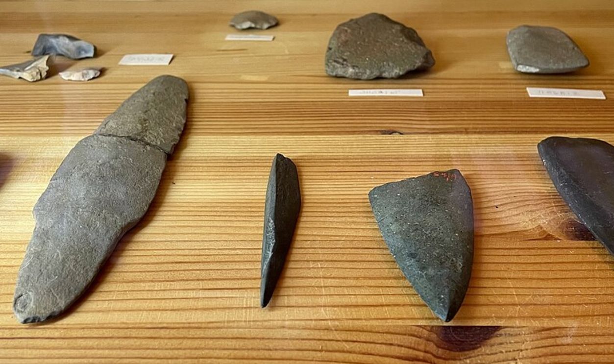 Prehistoric Tool Time