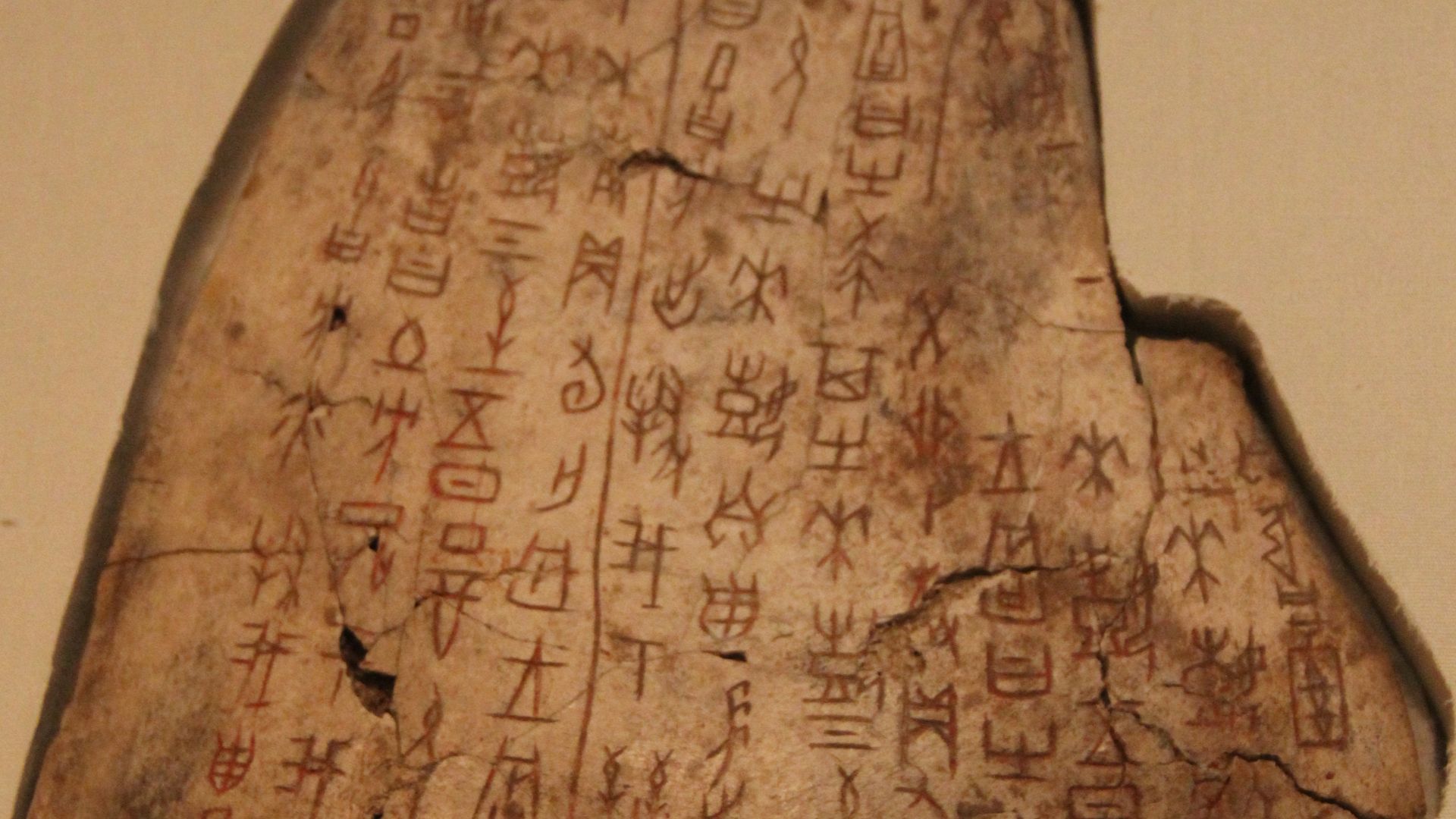 File:Shang Inscribed Ox Scapula (for divination).jpg