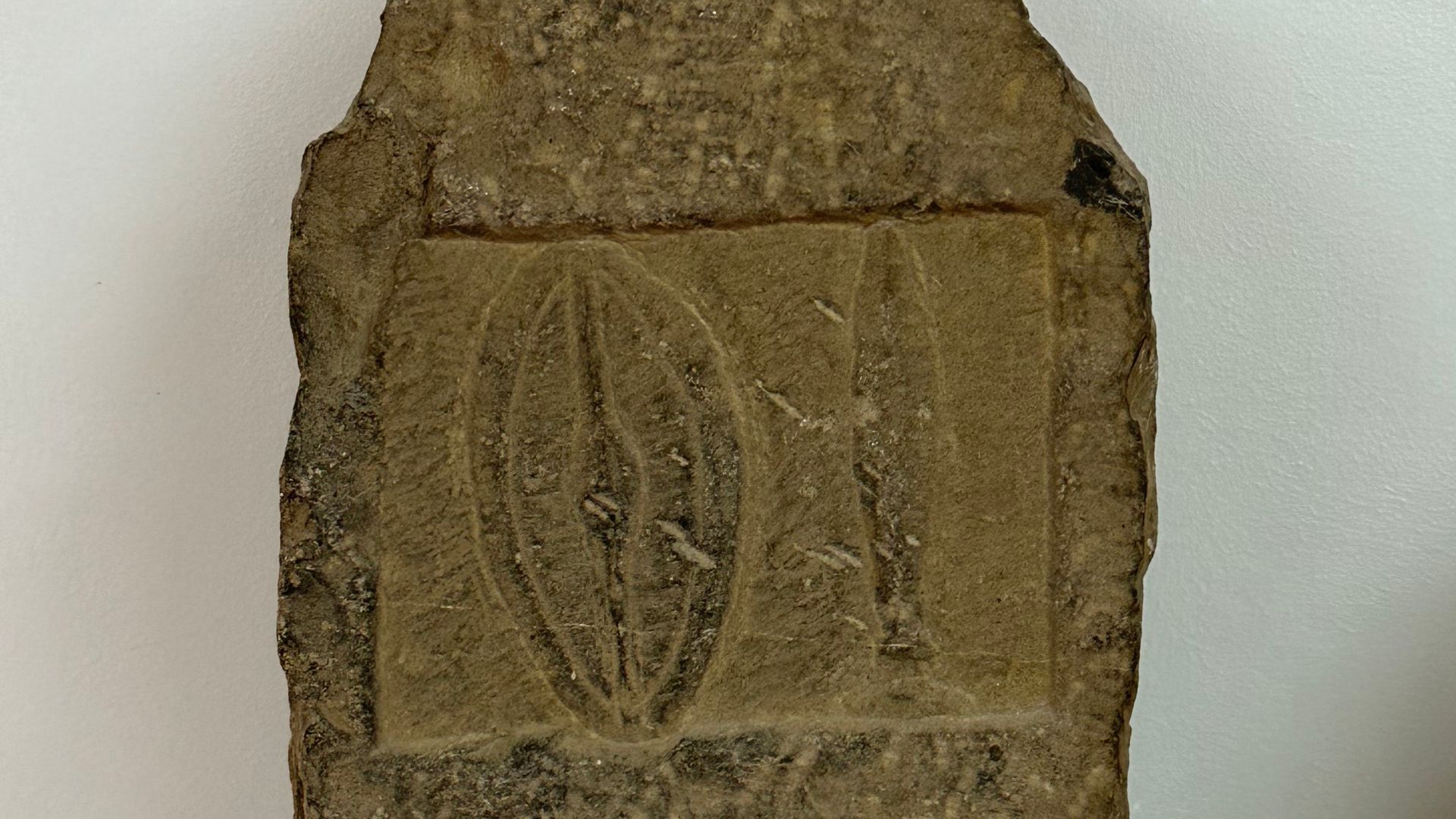 File:Stèle mentionnant des offrandes à Dieu Baal Hammon et à la grande Tanit 8.jpg