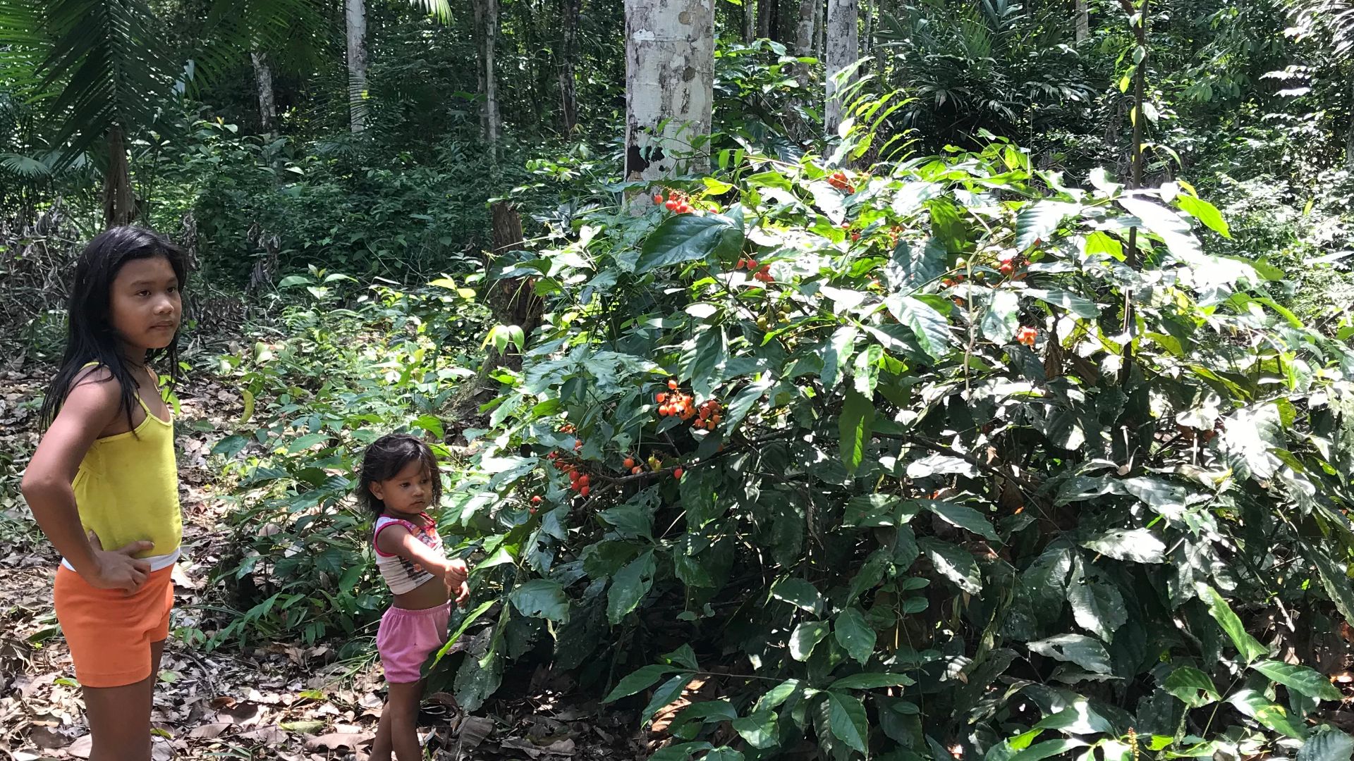 File:Filles et fils du Guaranà.jpg