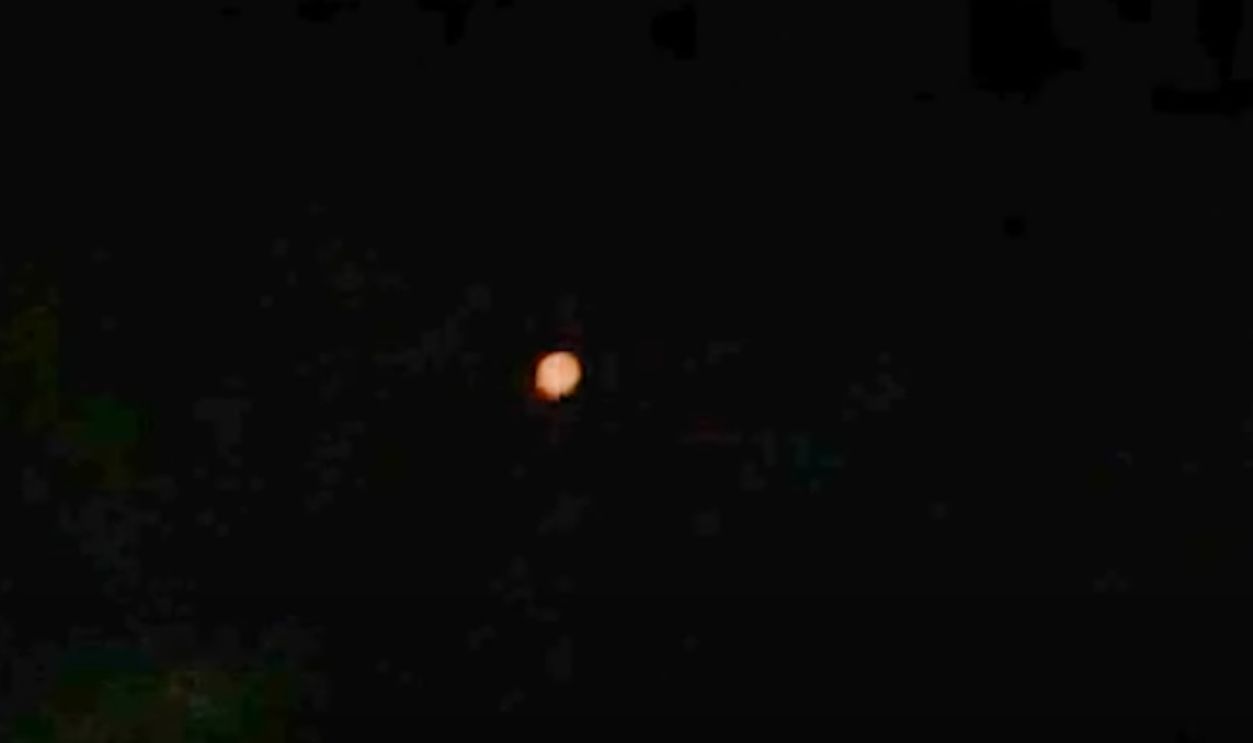 Pinot Noir and Plasma Beams