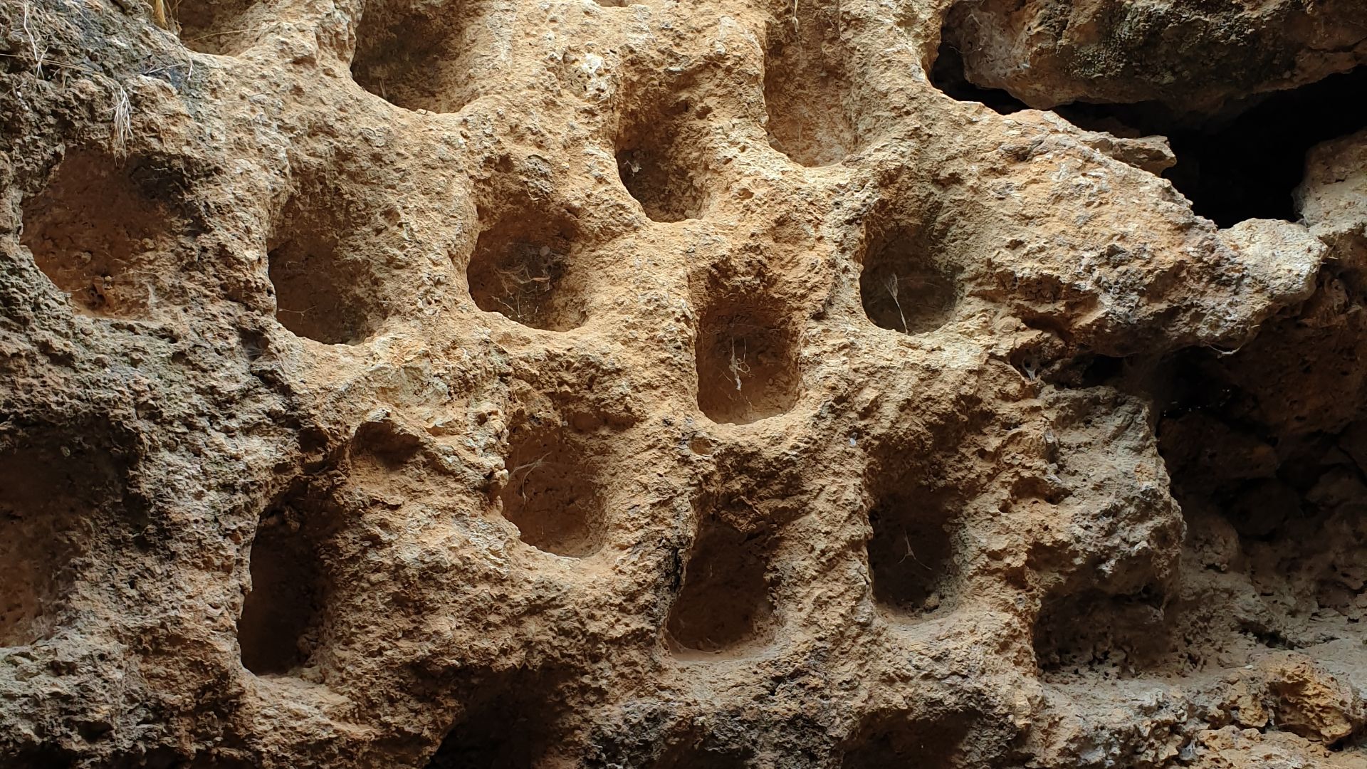File:Khirbet Qana - Columbarium.jpg