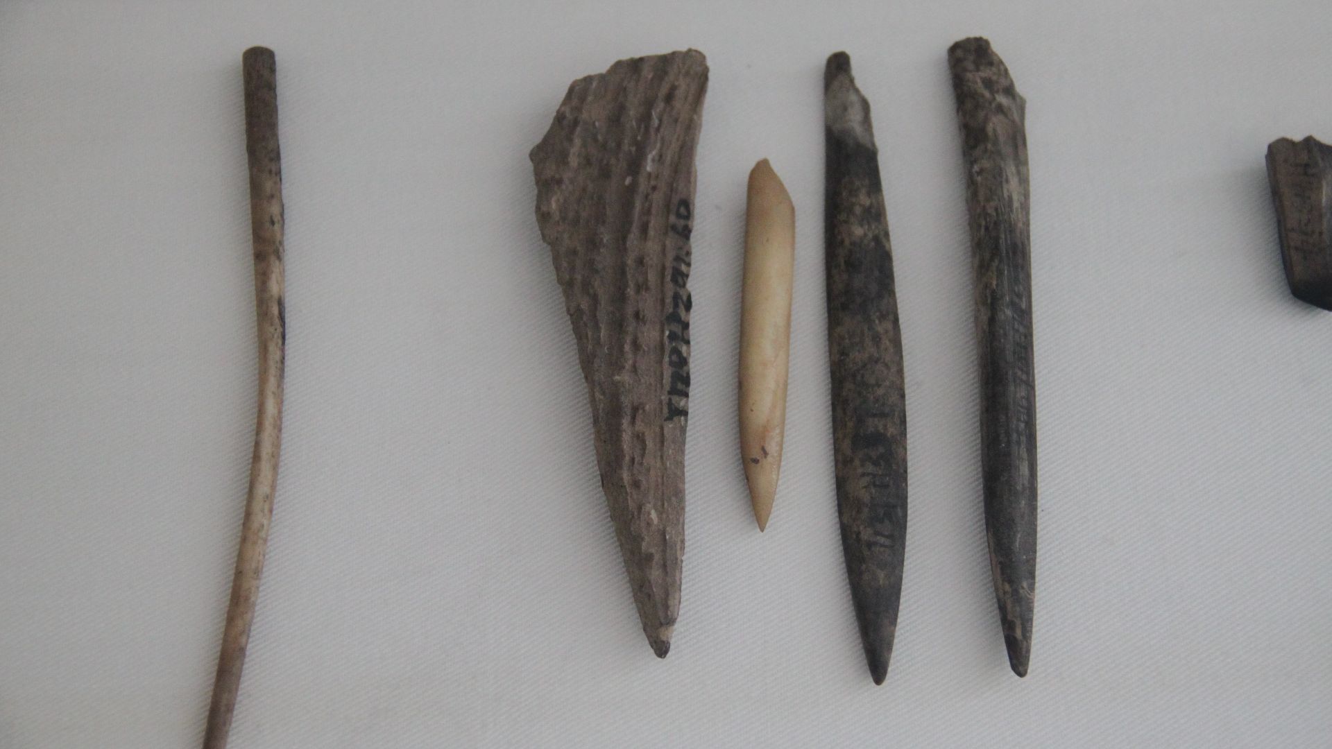 File:Peiligang Culture Bone or Deer Antler Tools (10202519515).jpg