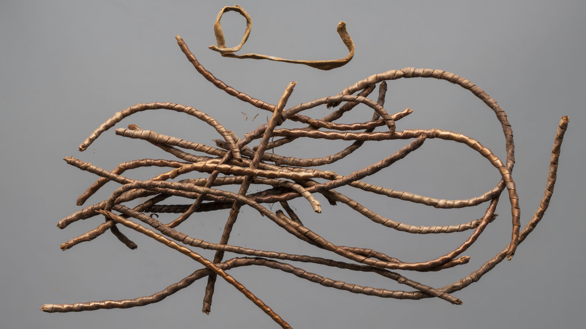 File:Fragments of hank made of twisted vegetal fibres (similar to S 287) - Museo Egizio, Turin S 288 p01.jpg