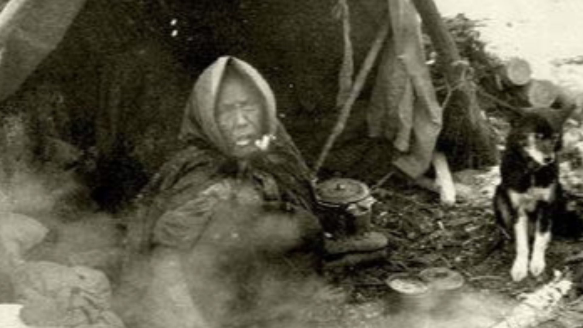 File:Tahltan-bear-dog - 02.jpg