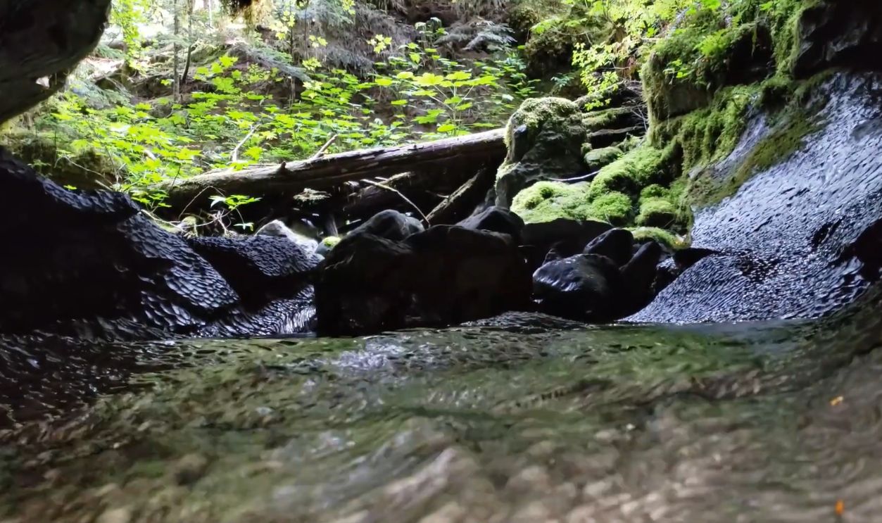Caves of Vancouver Island