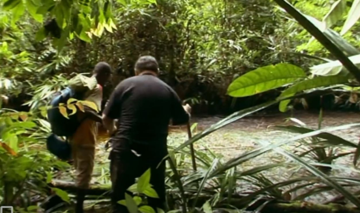 They've Been Put To Work