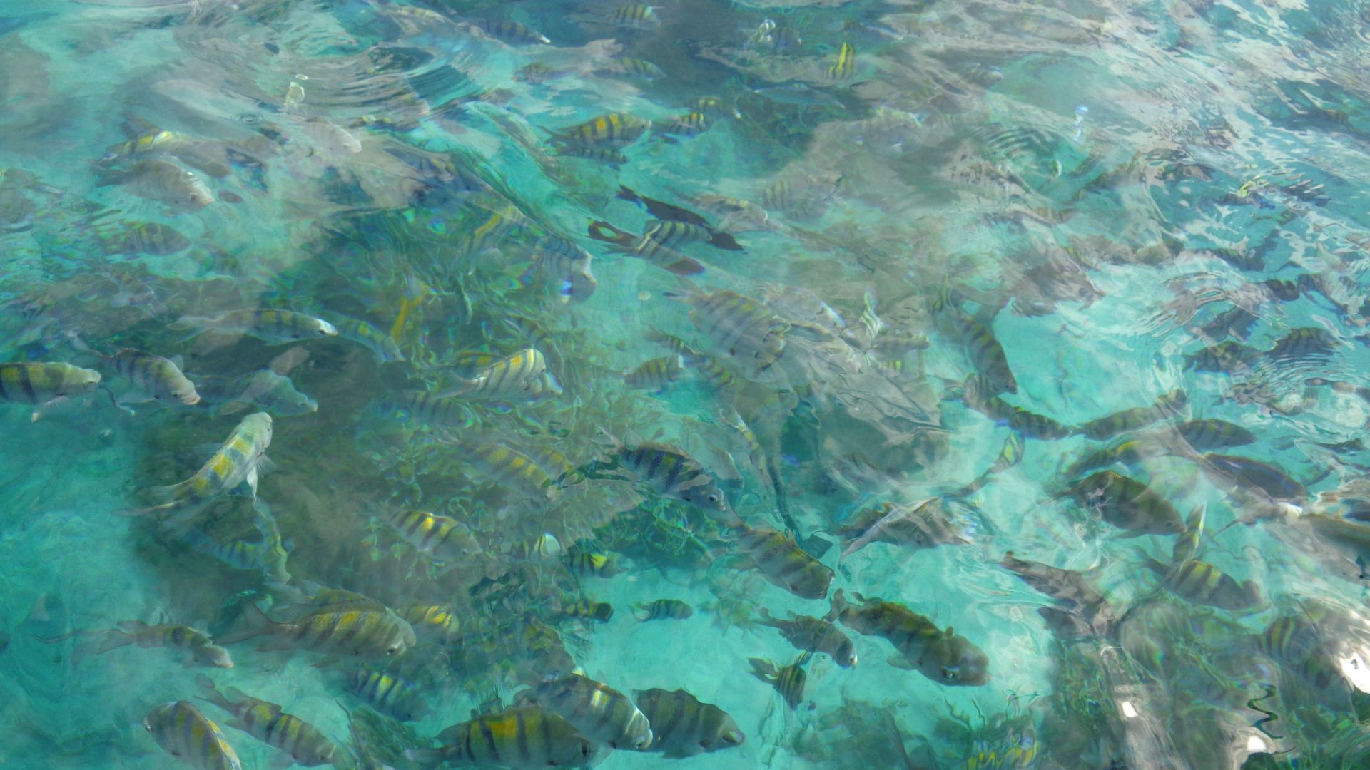 File:Isla Mujeres (9).jpg