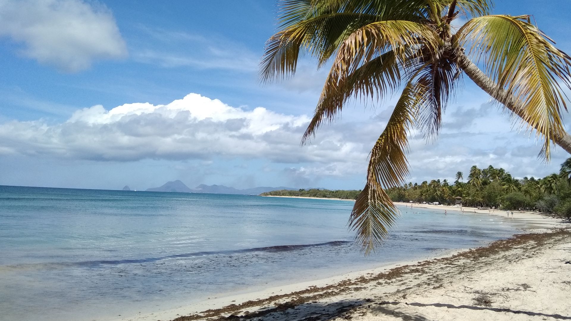 File:Grande Anse des Salines.jpg
