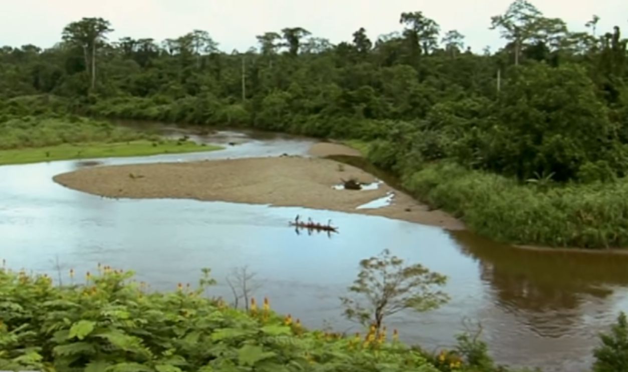 Why the Korowai Matter Today