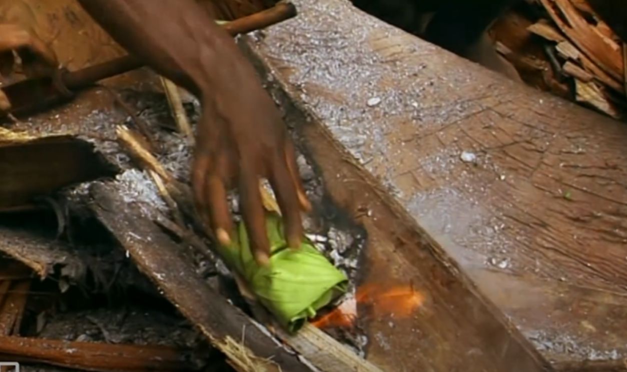 They Eat What They Can Find