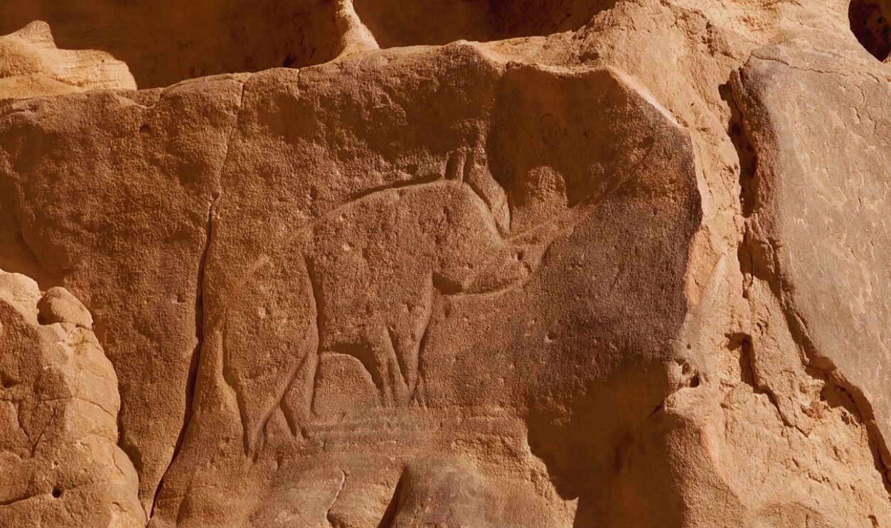 Amazing SAHARA: Tassili n'Ajjer, Algeria