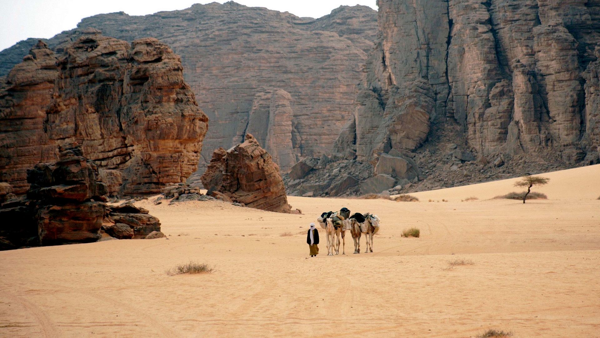 File:Tassili Desert Algeria.jpg