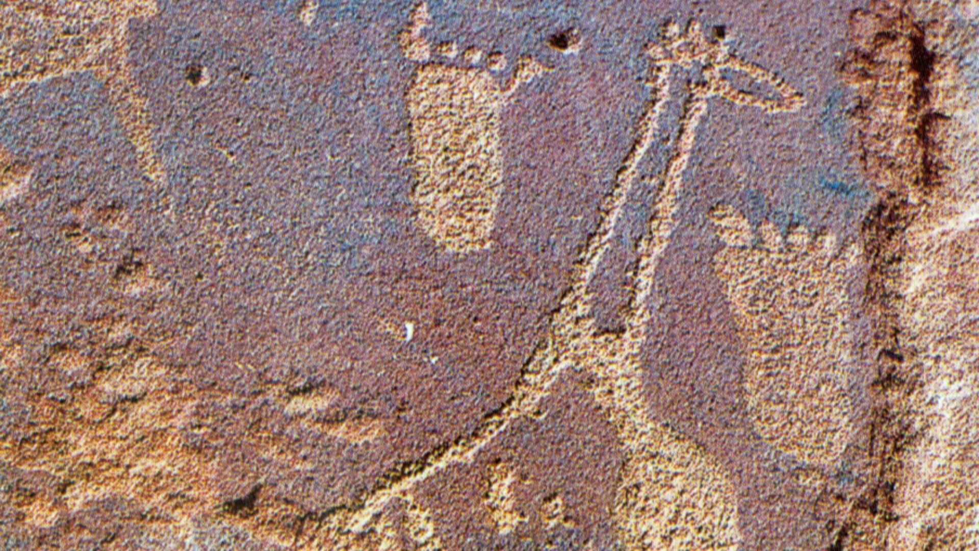 File:Rock carving from the Tassili n'Ajjer mountains.jpg